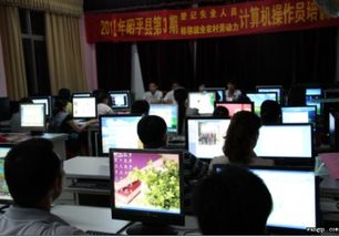 賀州市昭平縣舉辦青年計算機技術培訓班，為鄉村振興注入數字動能